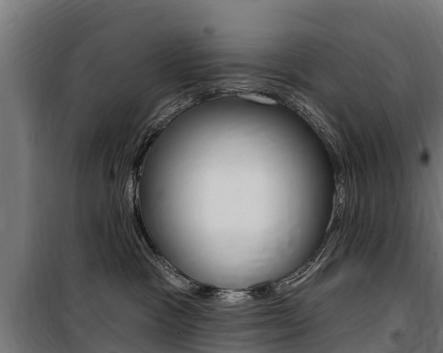 X0000100750333200806190829