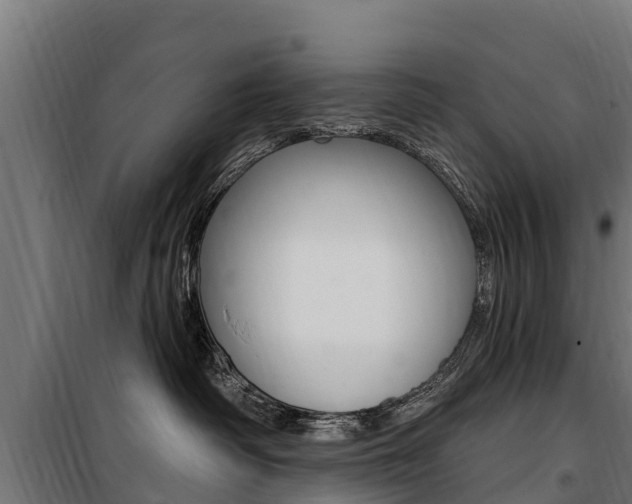 X0000100750334200806190829