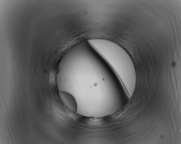 X0000100750335200806190829