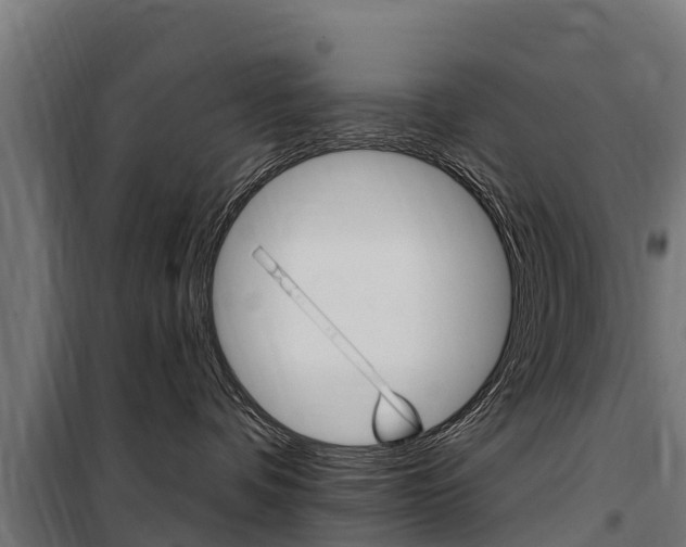X0000100750336200806190829