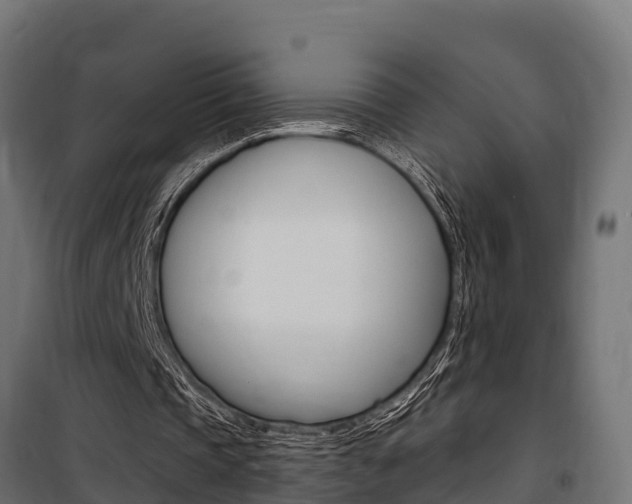 X0000100750337200806190828