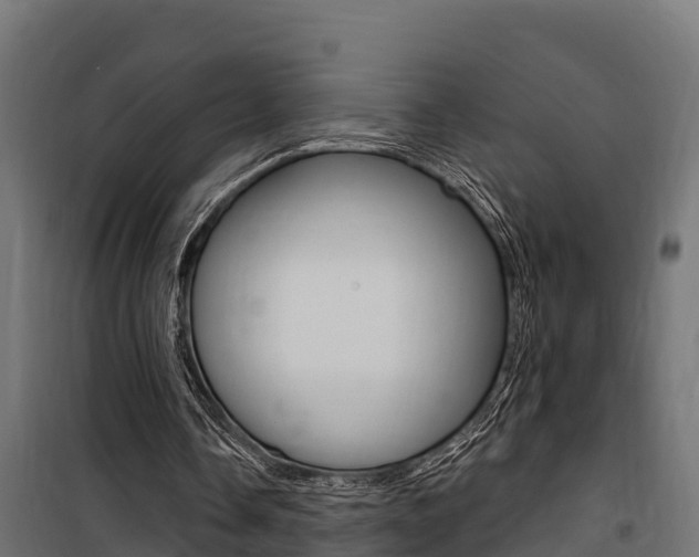 X0000100750338200806190828