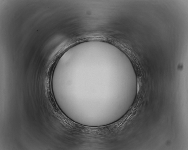 X0000100750339200806190828