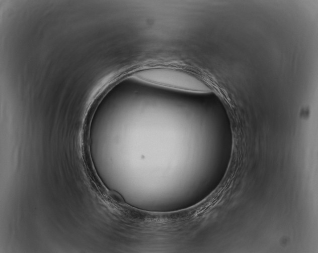 X0000100750340200806190828