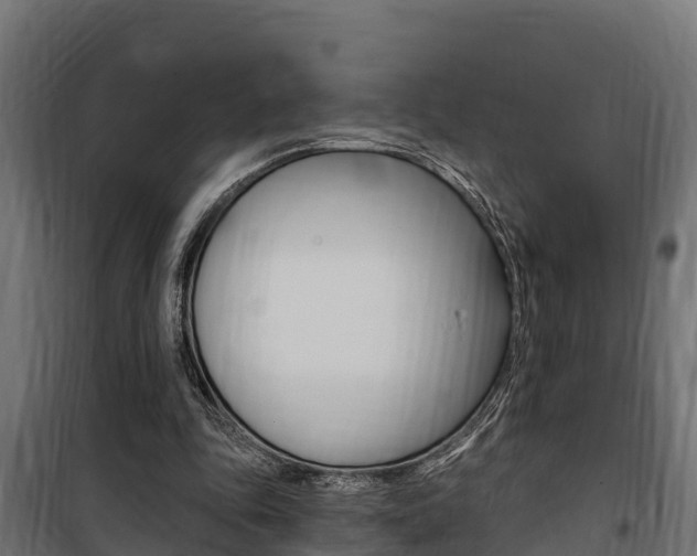 X0000100750343200806190828