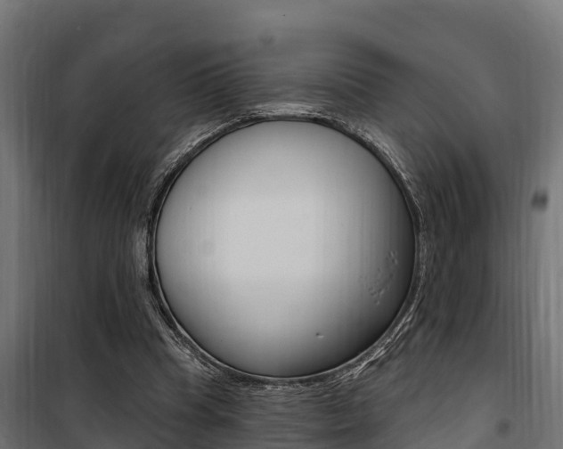 X0000100750345200806190828