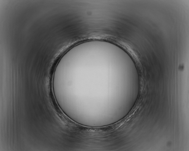 X0000100750346200806190828