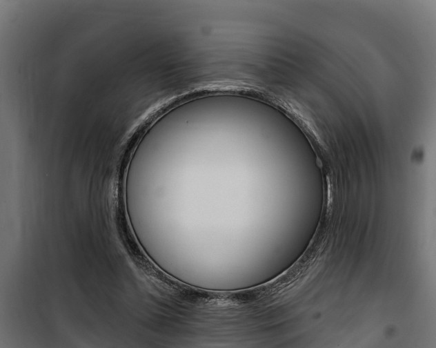 X0000100750348200806190828