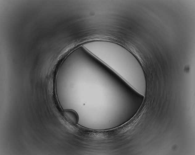 X0000100750349200806190828
