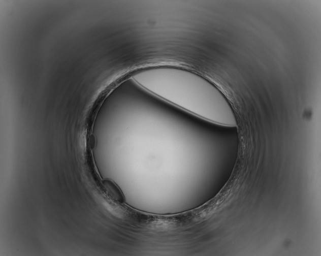 X0000100750350200806190828