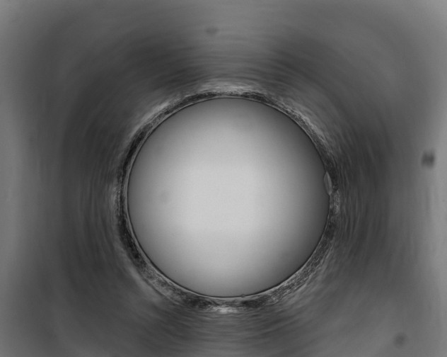 X0000100750352200806190828