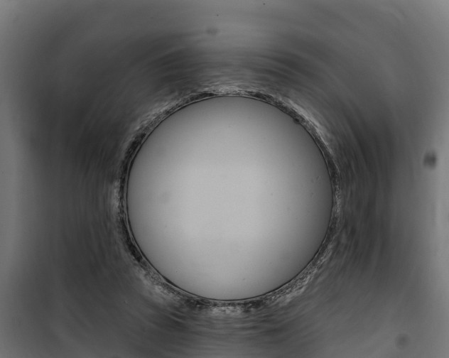 X0000100750353200806190828