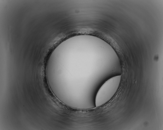 X0000100750354200806190828