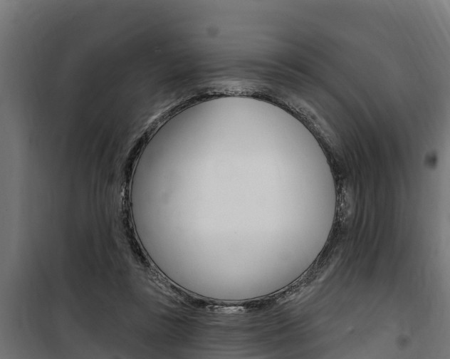 X0000100750355200806190828