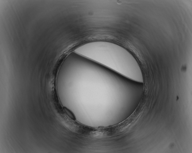 X0000100750356200806190828