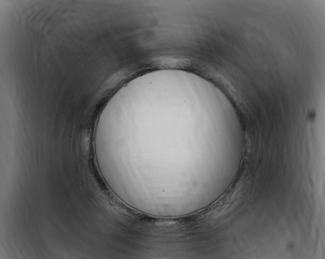 X0000100750357200806190828