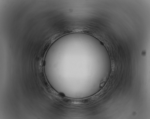 X0000100750360200806190828