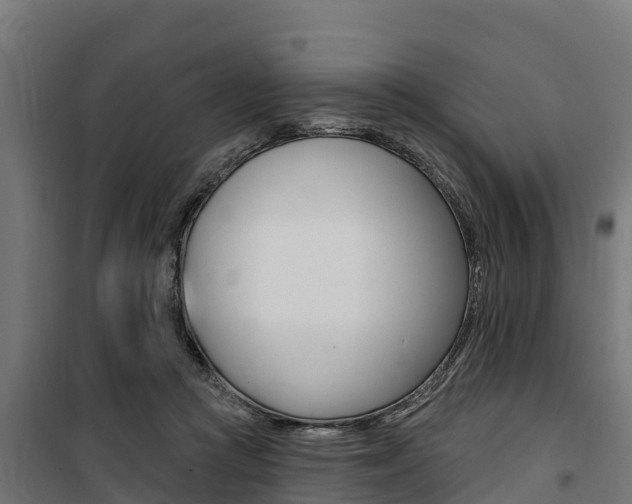 X0000100750361200806190828