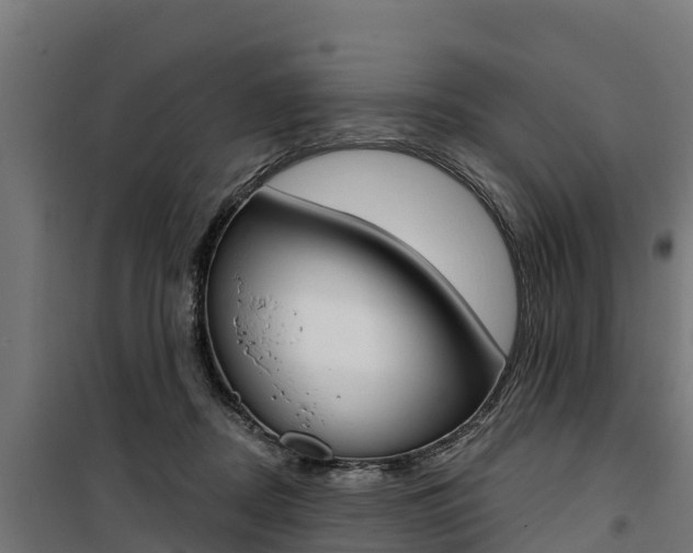 X0000100750362200806190828