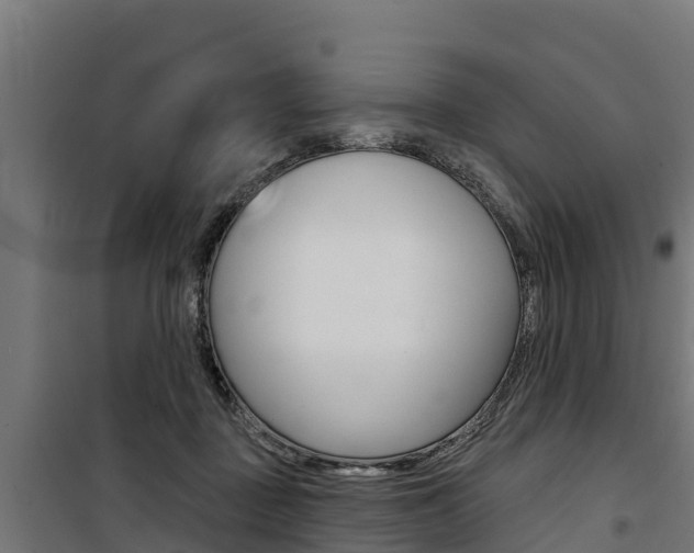 X0000100750363200806190828