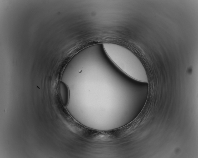 X0000100750364200806190829