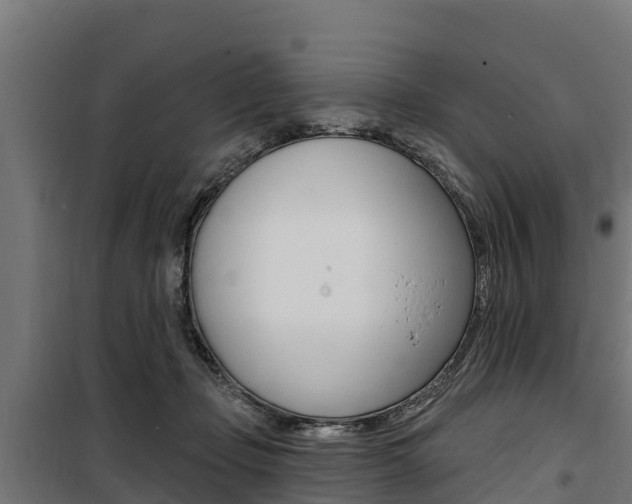 X0000100750365200806190829