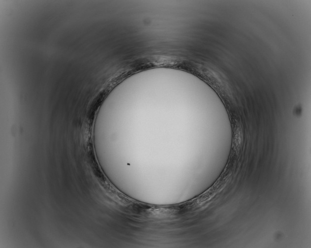 X0000100750367200806190829