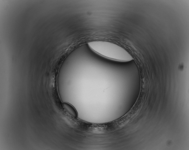 X0000100750368200806190829