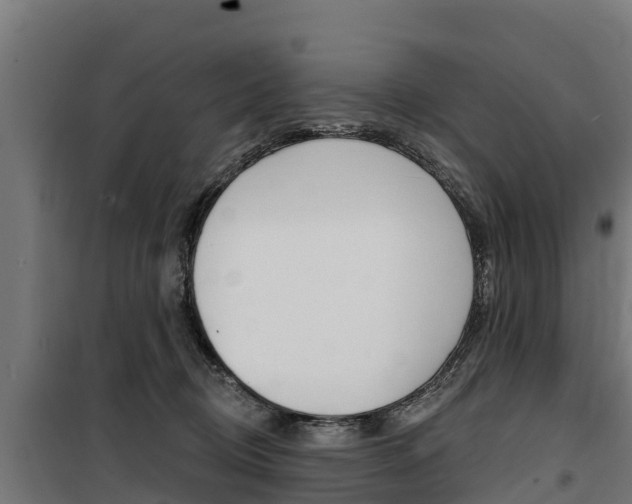 X0000100750370200806190829