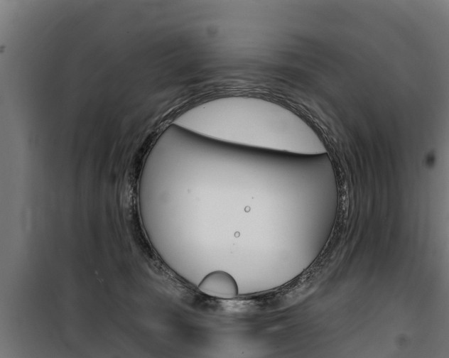X0000100750371200806190829
