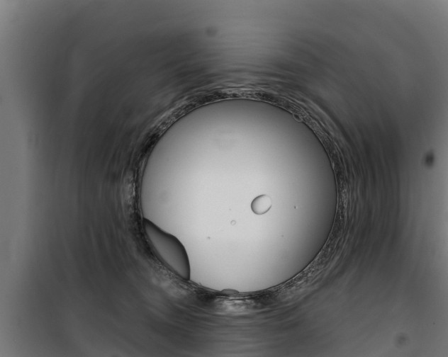 X0000100750372200806190829