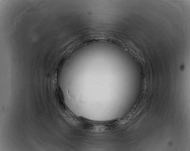 X0000100750376200806190829