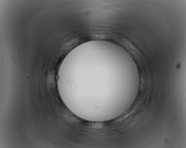 X0000100750377200806190829