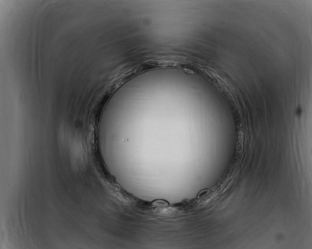 X0000100750379200806190829