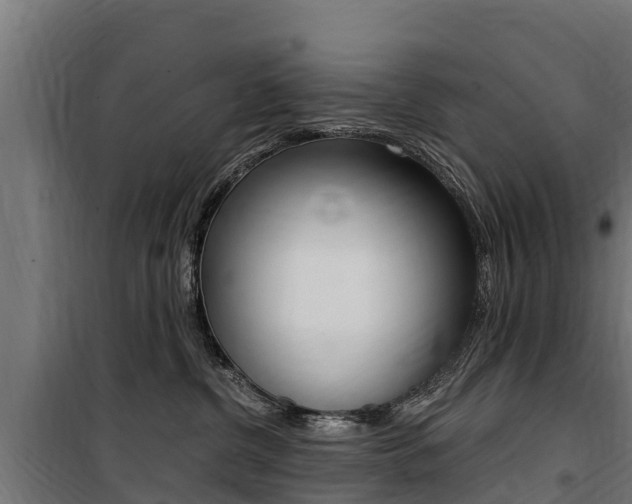 X0000100750380200806190829