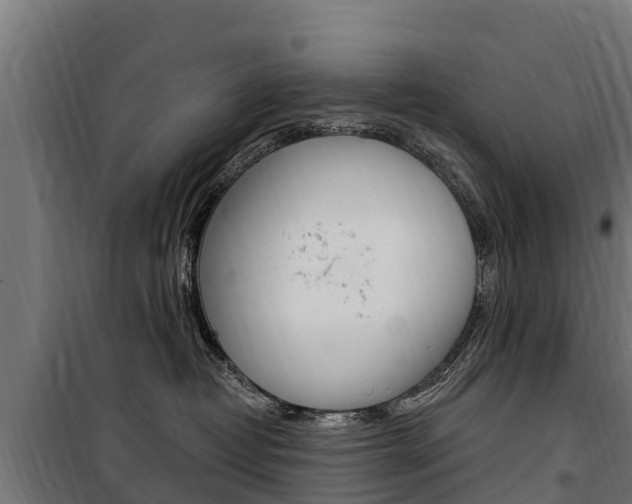 X0000100750382200806190829