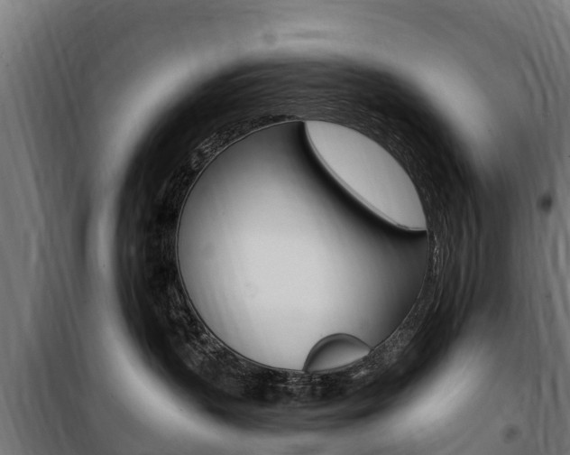 X0000100750383200806190829