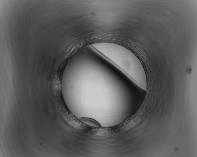 X0000100750384200806190829