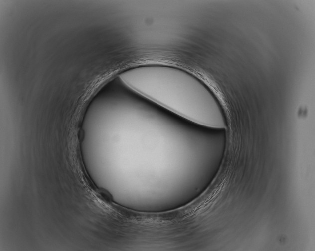 X0000100750385200806190828