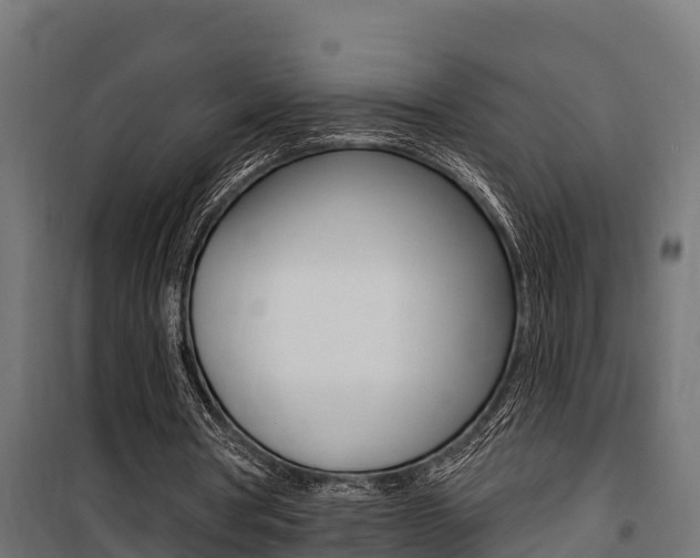 X0000100750386200806190828