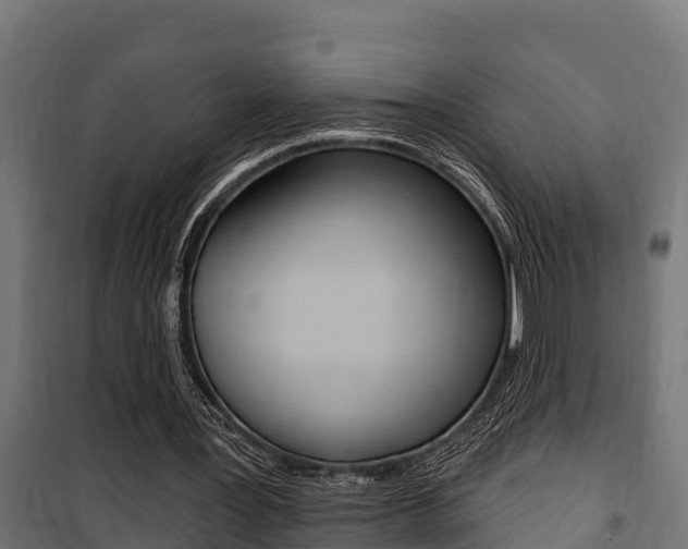 X0000100750387200806190828