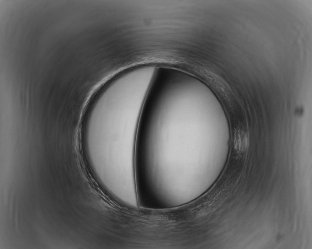 X0000100750388200806190828