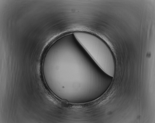 X0000100750391200806190828