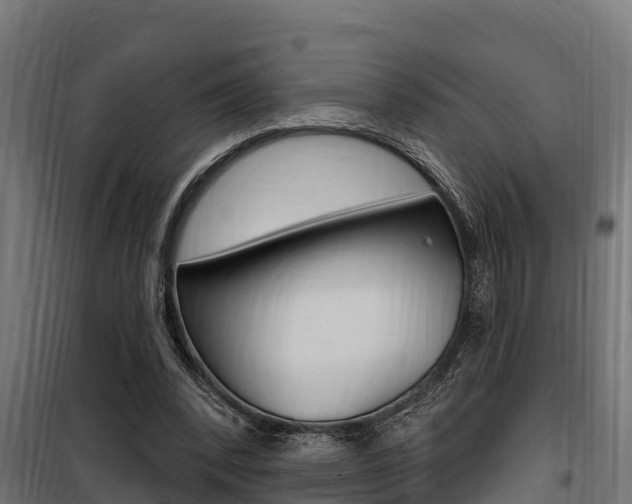 X0000100750392200806190828