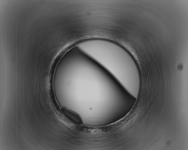 X0000100750395200806190828