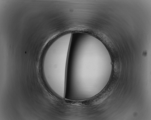 X0000100750396200806190828