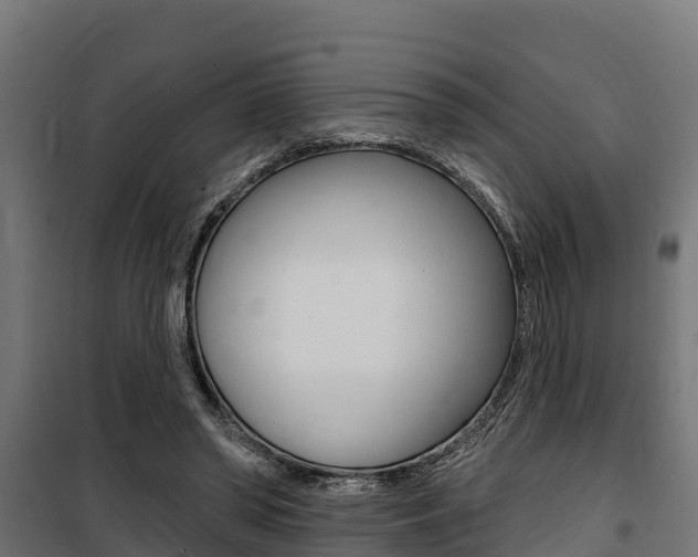 X0000100750398200806190828