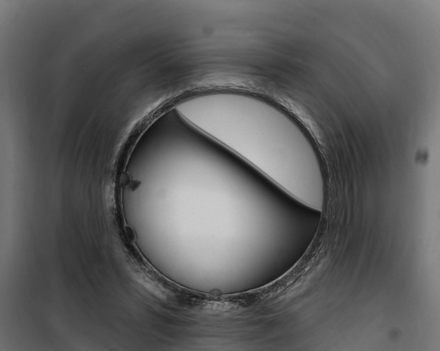 X0000100750399200806190828