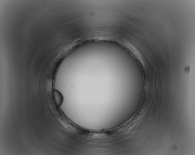 X0000100750401200806190828