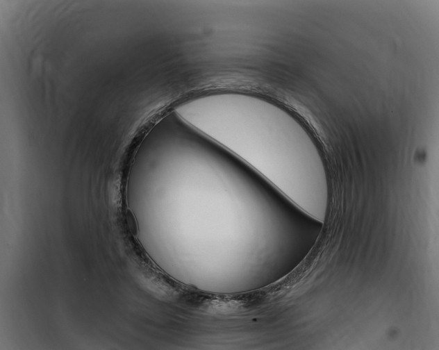 X0000100750403200806190828